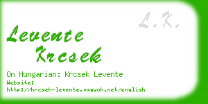 levente krcsek business card